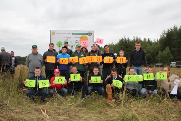 12 сентября во всех поселениях Орехово-Зуевского района прошли мероприятия в рамках областной акции «Наш лес. Посади свое дерево»